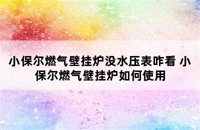 小保尔燃气壁挂炉没水压表咋看 小保尔燃气壁挂炉如何使用